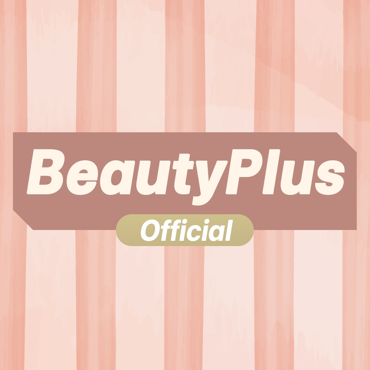 beauty plus salon product image