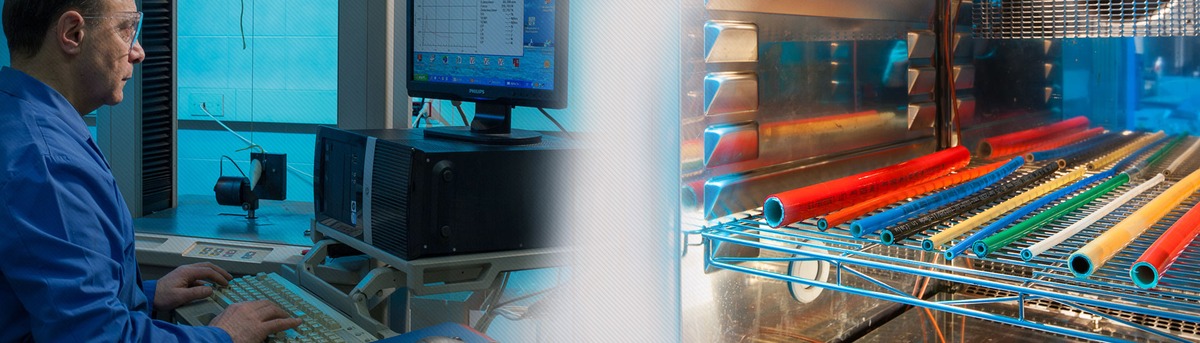 zecplus product image