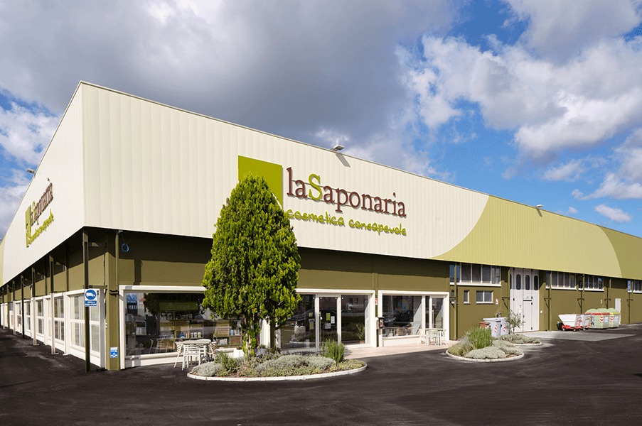 la saponaria product image