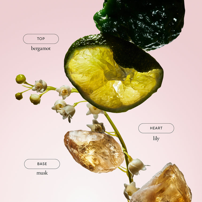 philosophy product image