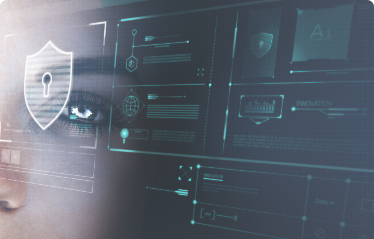 lizensio product image