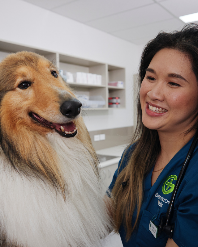 greencross vet product image