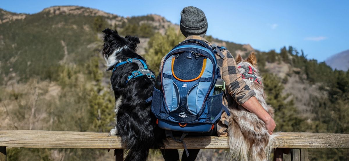 kurgo harness product image