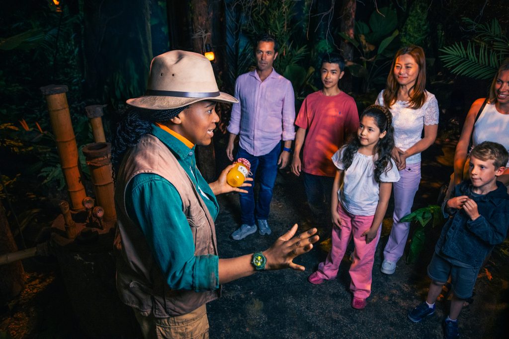 the paddington bear experience product image